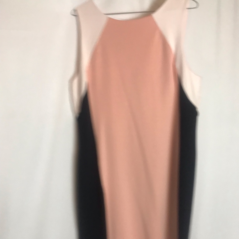 Professional dress